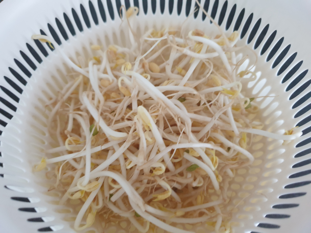  와싱톤 이야기
