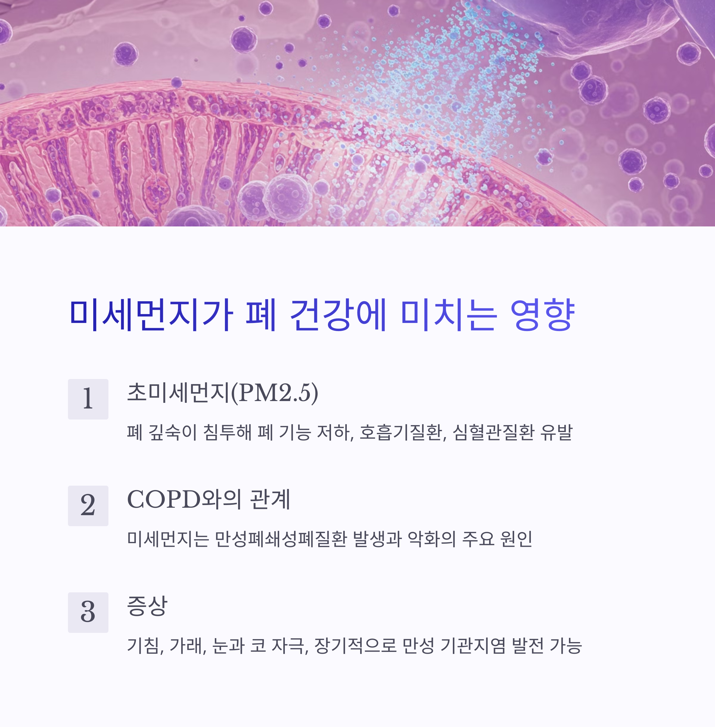 미세먼지가 우리 몸에 미치는 영향