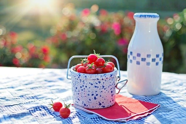 접시에 담긴 방울토마토