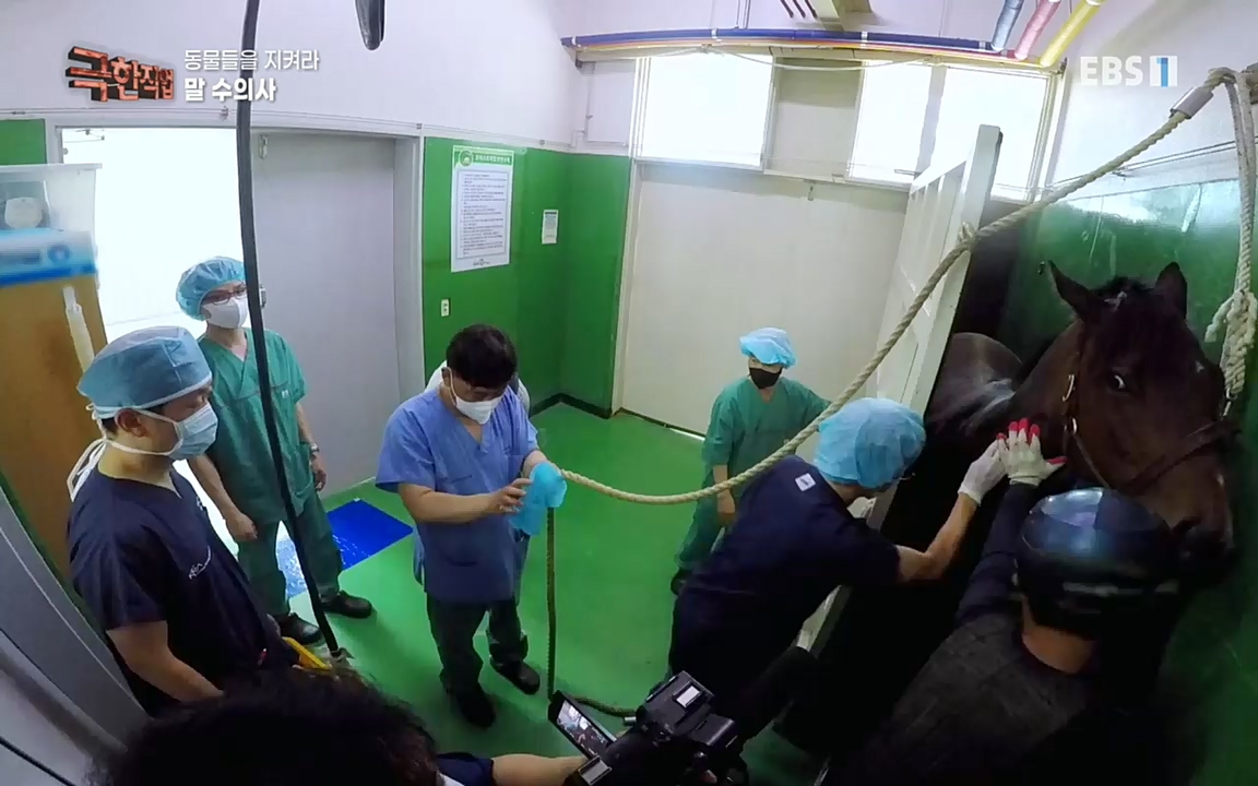 TV - 교육의 중심 EBS동물들을 지켜라, 수의사와 유기 동물 구조팀.mp4_20220913_200142.111.jpg