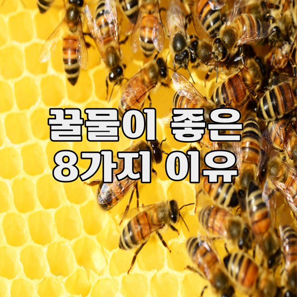 꿀물을 마시면 생기는 놀라운 변화 8가지