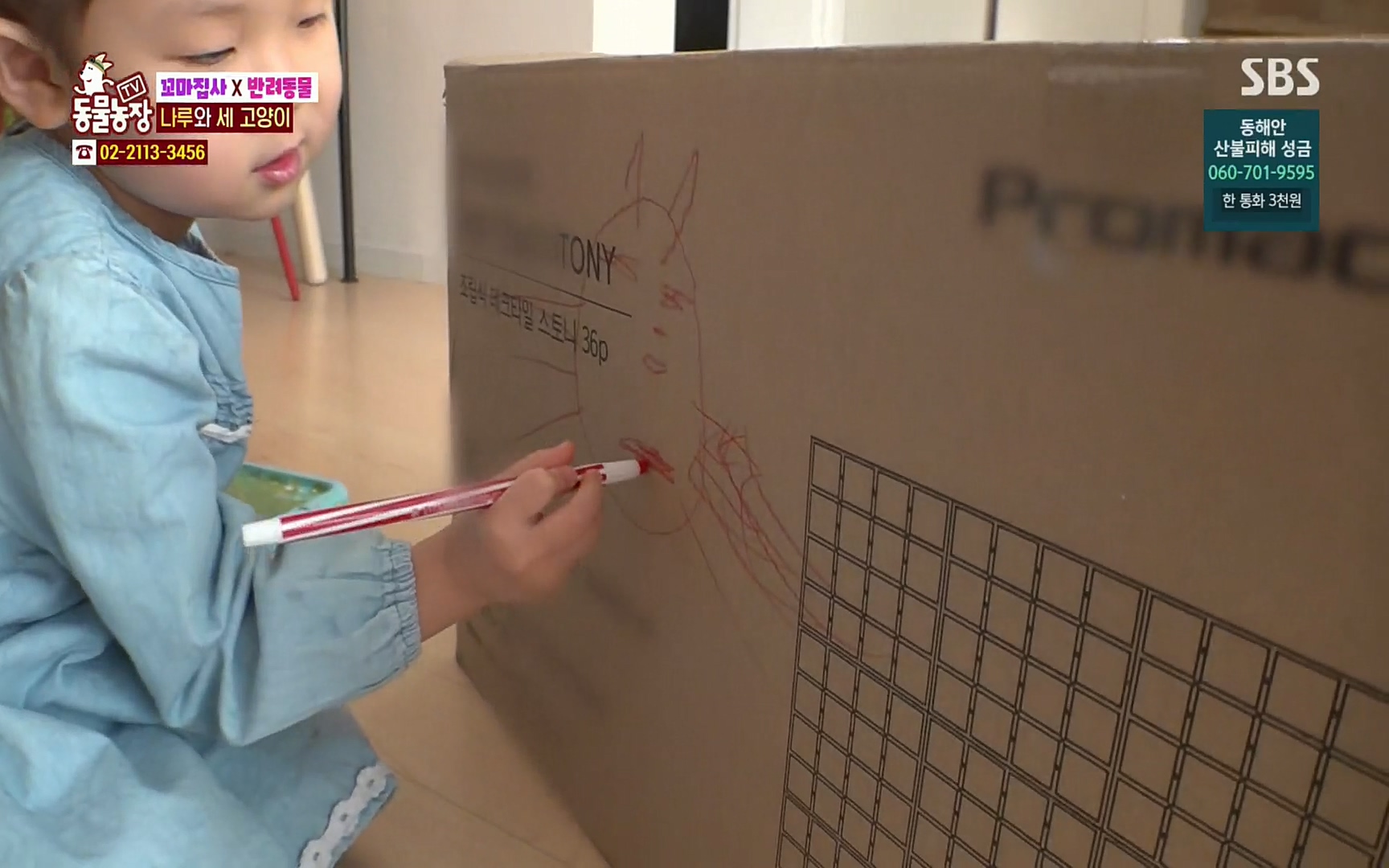 TV 동물농장.E1061.220320p.H264-F1RST.mp4_20220320_183618.621.jpg