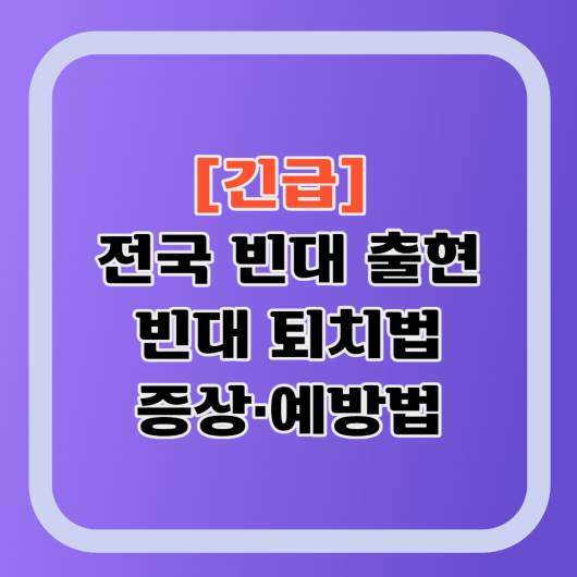 빈대-퇴치법-예방법