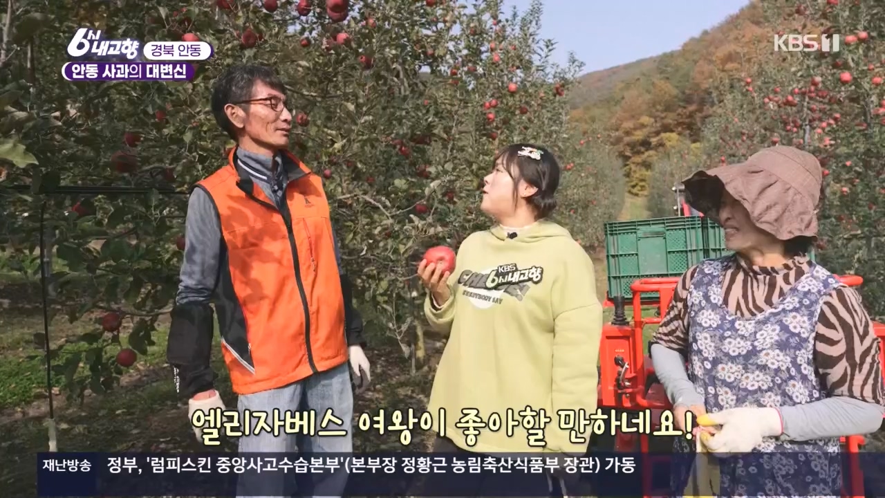 6시 내고향.E7907.231108p.H264-F1RST.mp4_20231108_204716.228.jpg