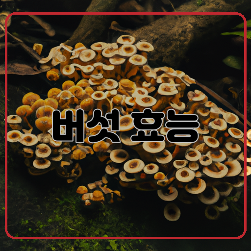 풍부한-영양소-(nutrition)-다양한-효능-(efficacy)-버섯의-비밀-(mushroom&#39;s-secret)