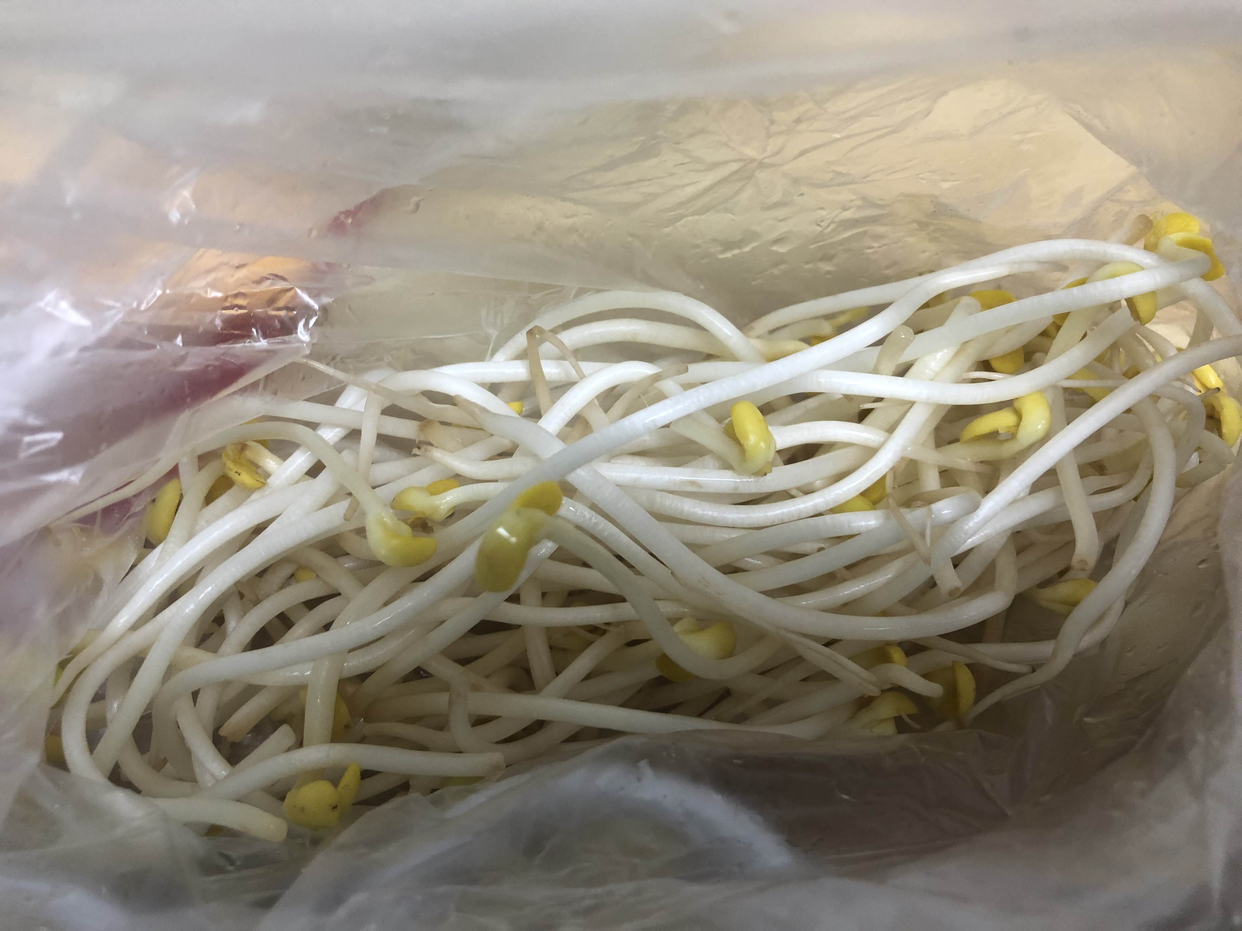 담꾹 이미지