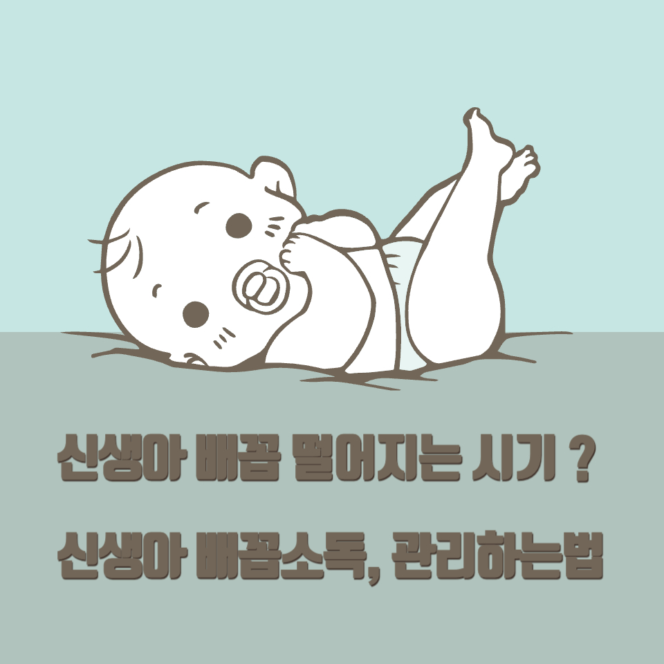 신생아-배꼽-떨어지는-시기-배꼽소독-배꼽관리-하는-법