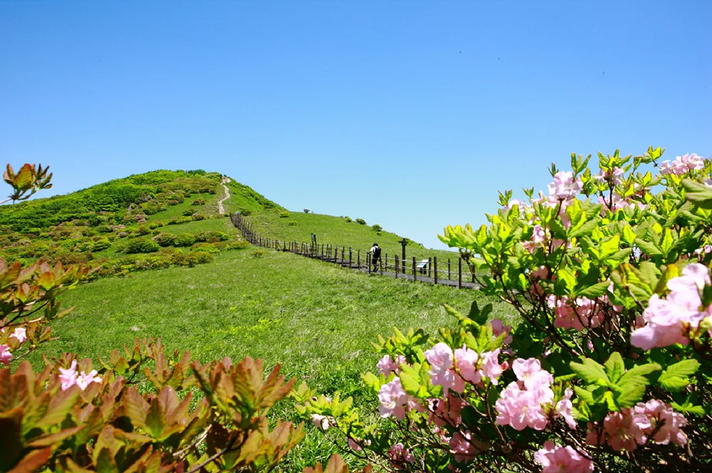 소백산국립공원