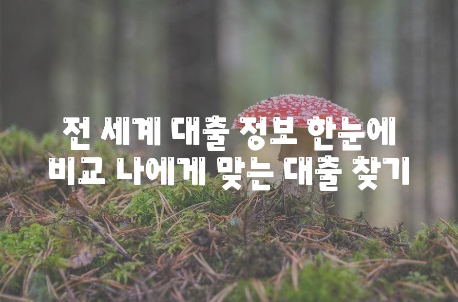 전 세계 대출 정보 한눈에 비교 나에게 맞는 대출 찾기