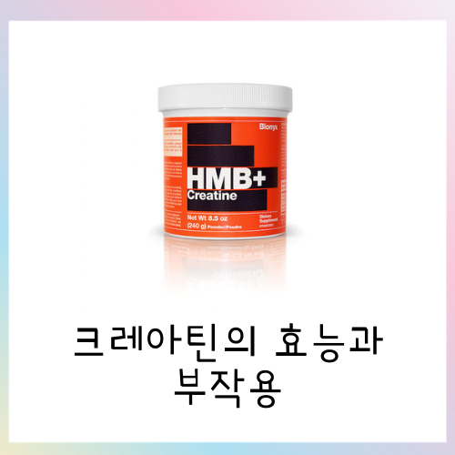  크레아틴의 효능과 부작용에 관해서