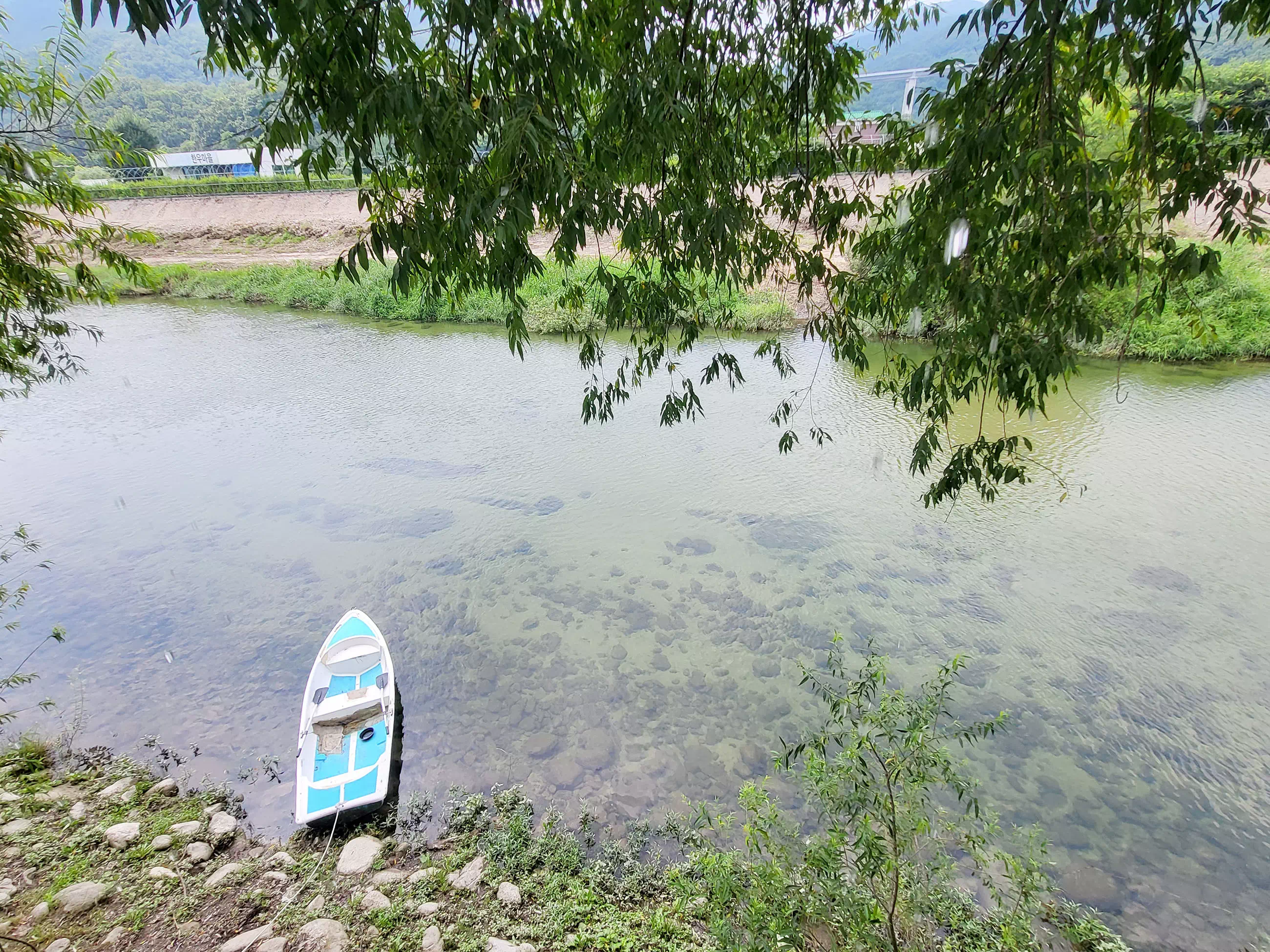 맑은 물