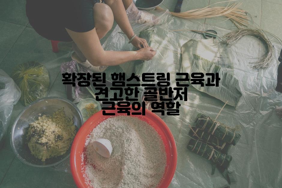 확장된 햄스트링 근육과 견고한 골반저 근육의 역할