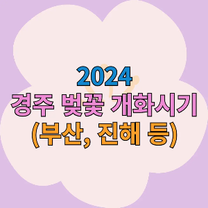 2024 경주 벚꽃 개화시기 포스팅 대표