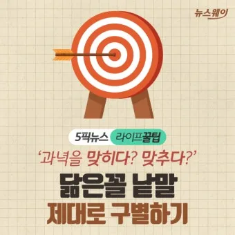 맞히다 맞추다 차이 맞춤법_31