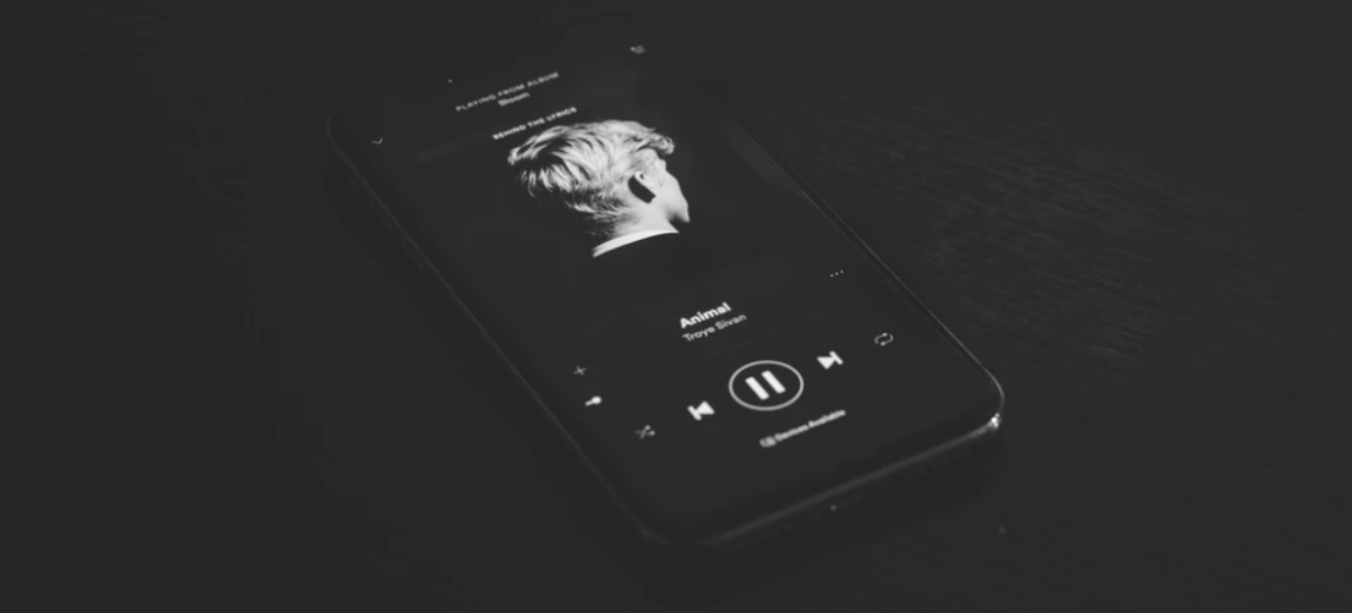 멜론 스밍 돌리는법 실수하지 않으려면 멜론 스밍 돌리는법 실수하지 않으려면