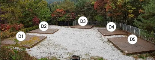 D구역 상세 