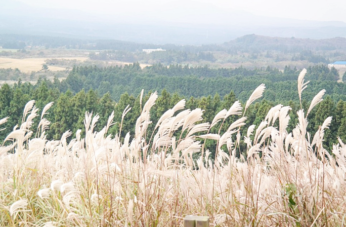 산굼부리