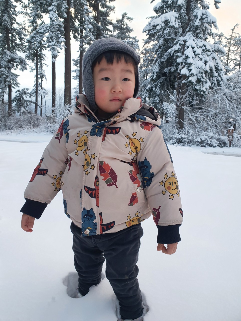 rv RV 카라반 끌고 미국 56