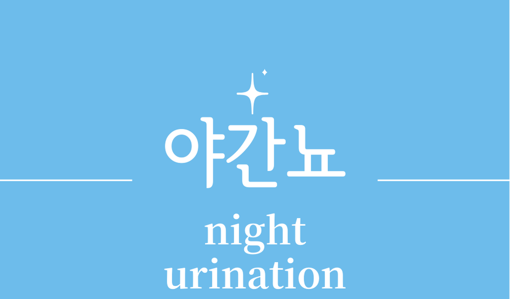 '야간뇨(night urination)'