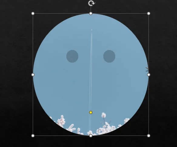 ppt에서 사진을 자른 후의 모습