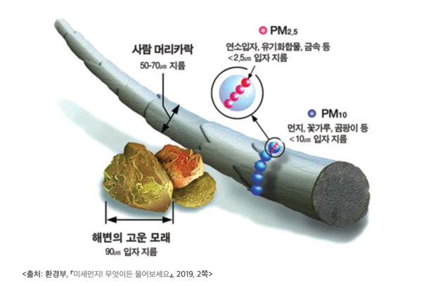 미세먼지 사이즈 비교표