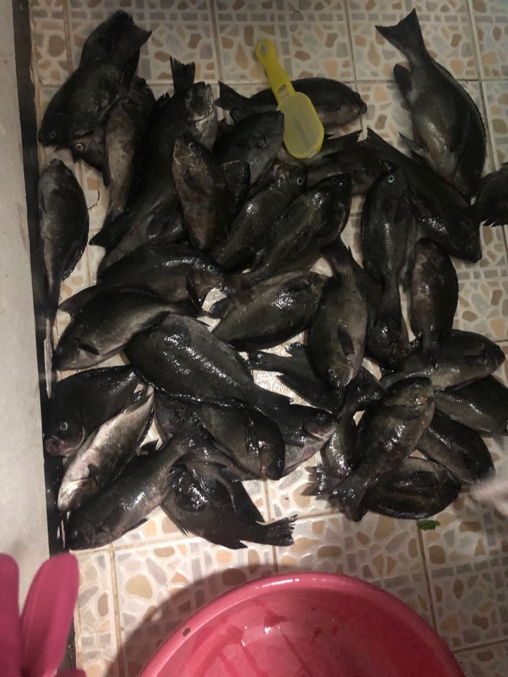  문리뷰