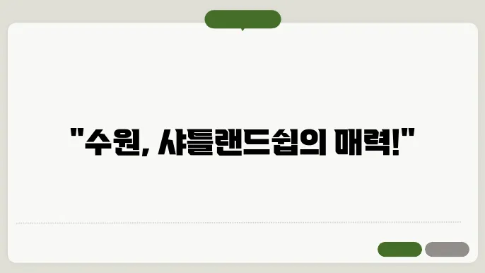 수원셔틀랜드쉽독분양 브리더클럽