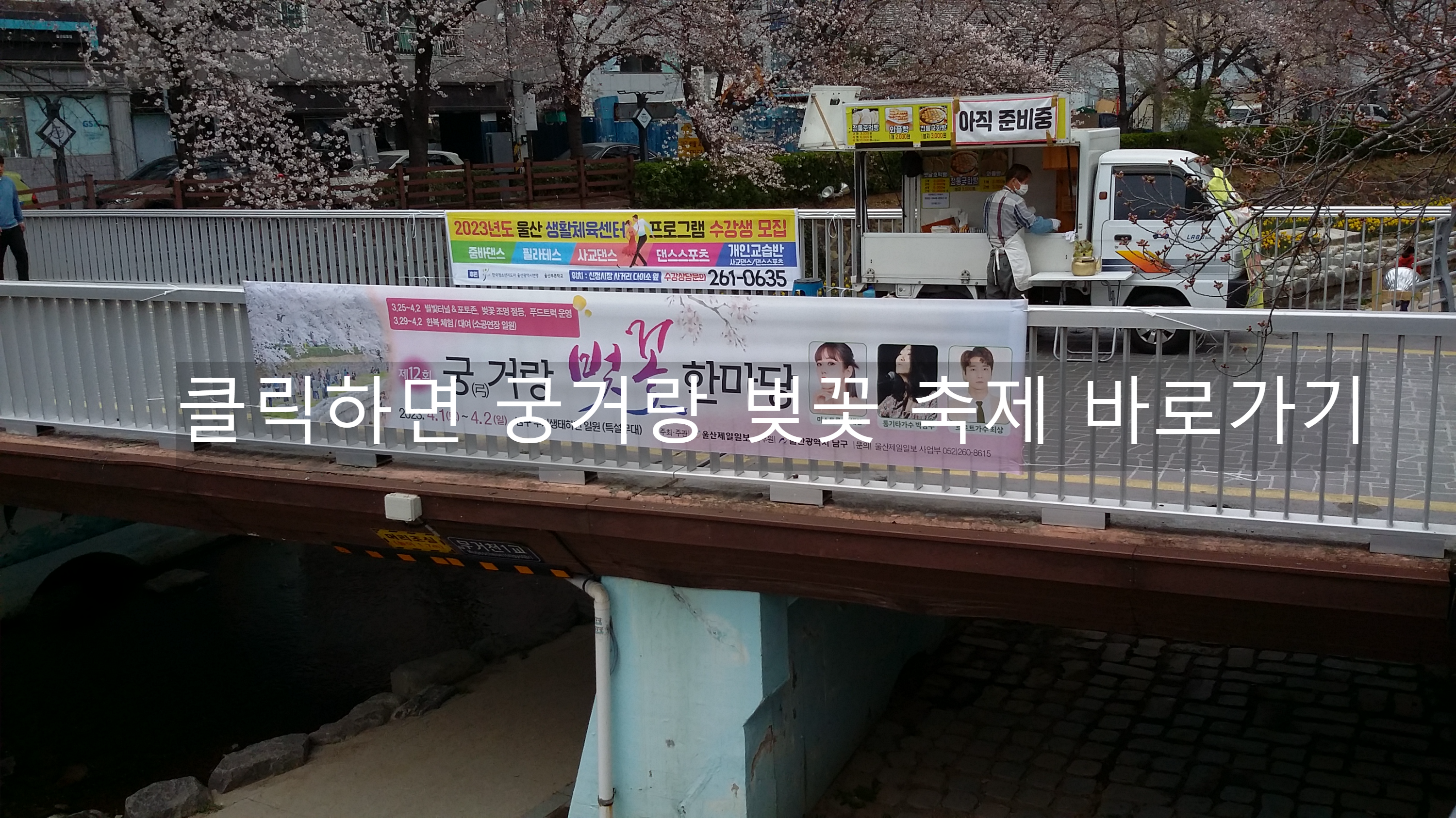 궁거랑벚꽃축제