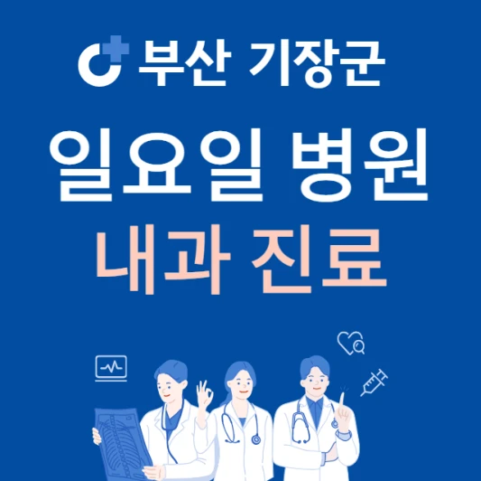 부산-기장군-일요일-내과-진료하는곳-주말에-문여는-기장군-24시간-내과-찾기