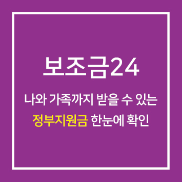 보조금24 정부지원금 (한눈에 가족까지)