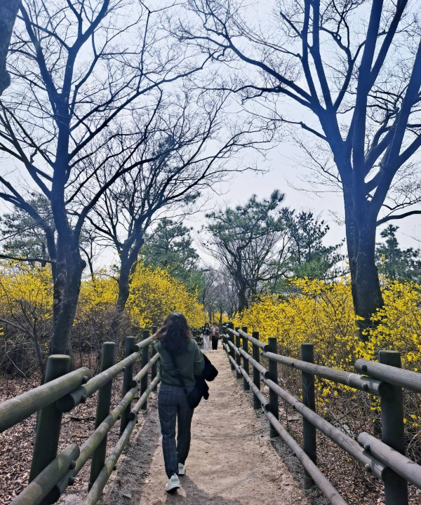 서울숲 내려가는 길