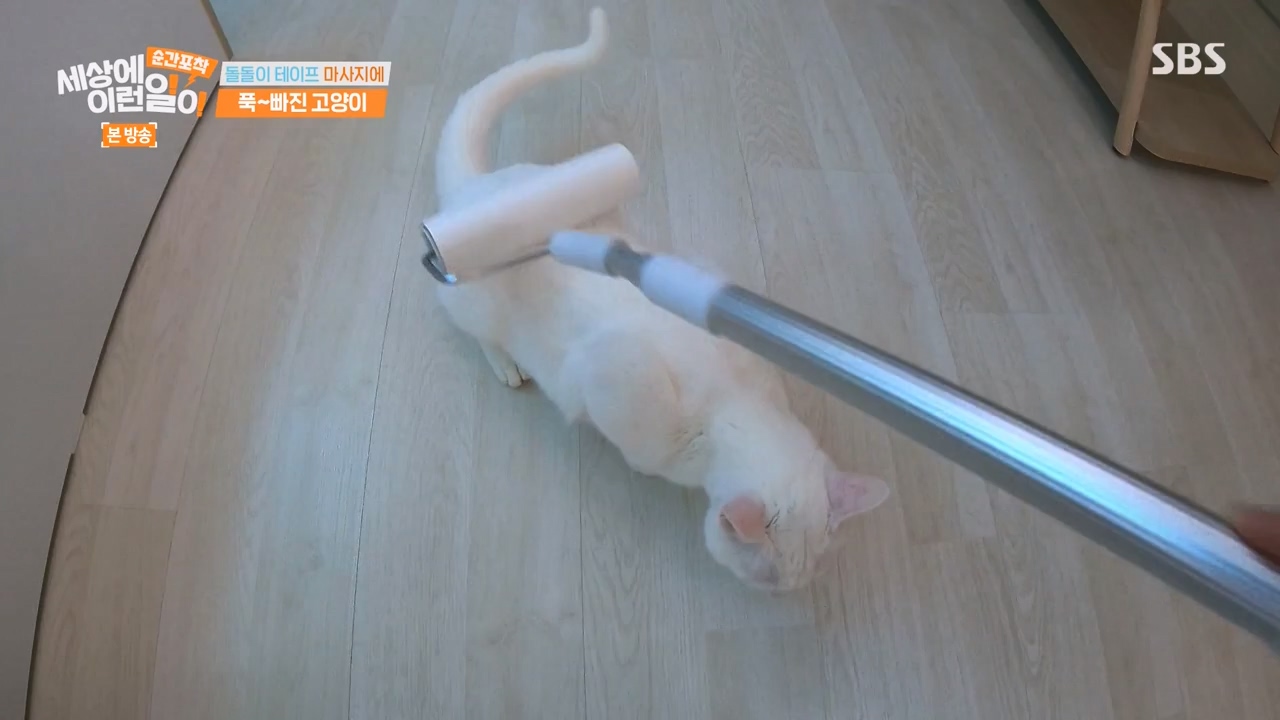 순간포착 세상에 이런일이.E1250.231029p-NEXT.mp4_20231029_153355.595.jpg