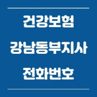  건강보험공단 강남동부지사 전화번호