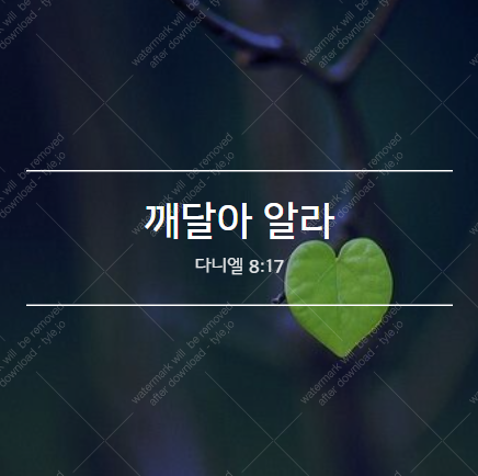  깨달아 알라!