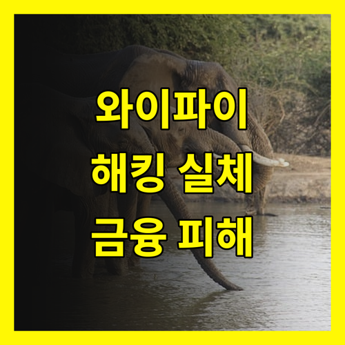 와이파이 해킹의 실체, 개인 정보 유