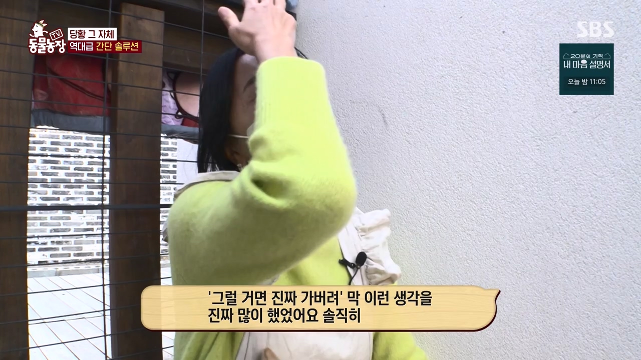 TV 동물농장.E1172.240520p-NEXT.mp4_20240519_165244.781.jpg