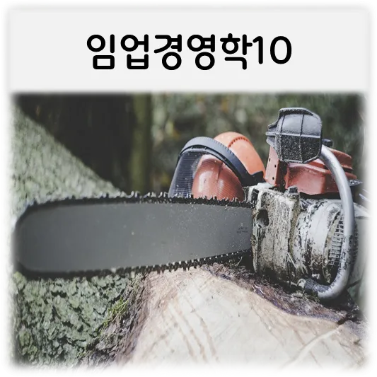 임업경영학10-전기톱나무