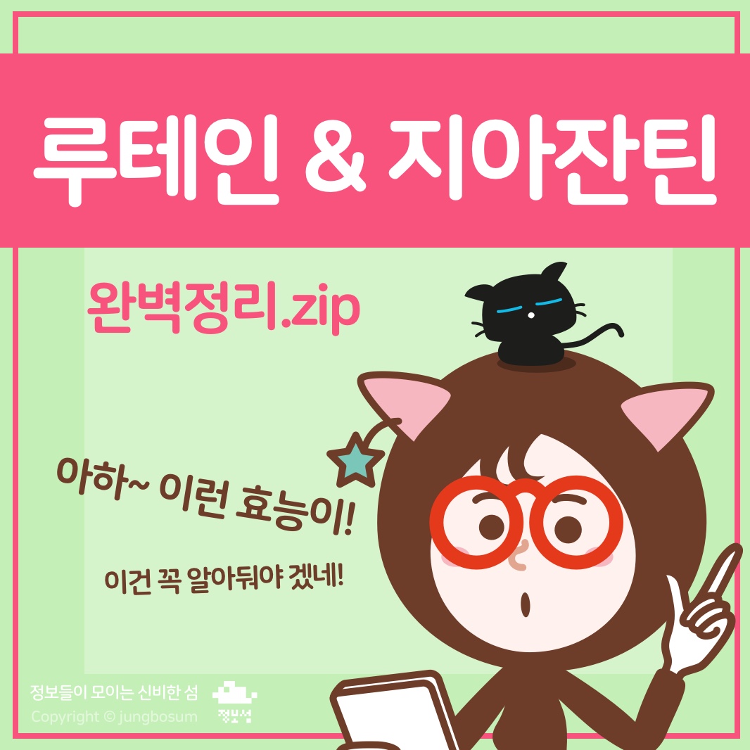  루테인 지아잔틴, 눈에 좋은 이유 + 효능 완벽정리.zip