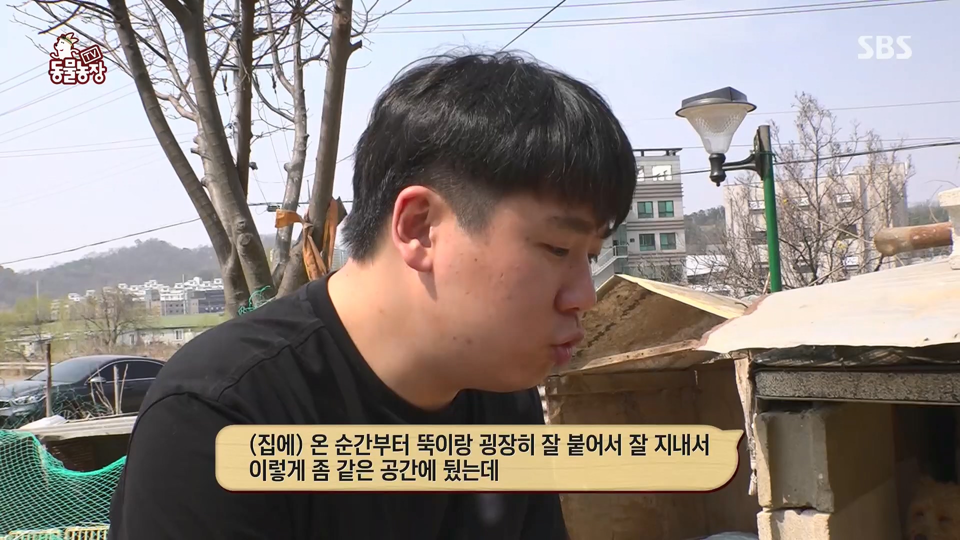 TV 동물농장.E1119.230507p.H264-F1RST.mp4_20230507_135855.932.jpg