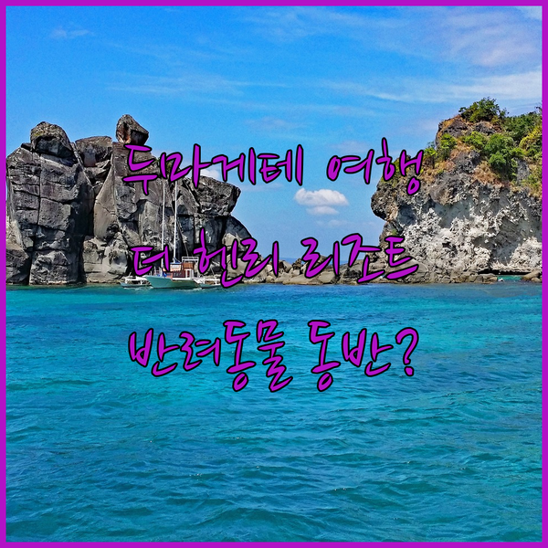두마게테 여행 필수 정보 더 헨리 리
