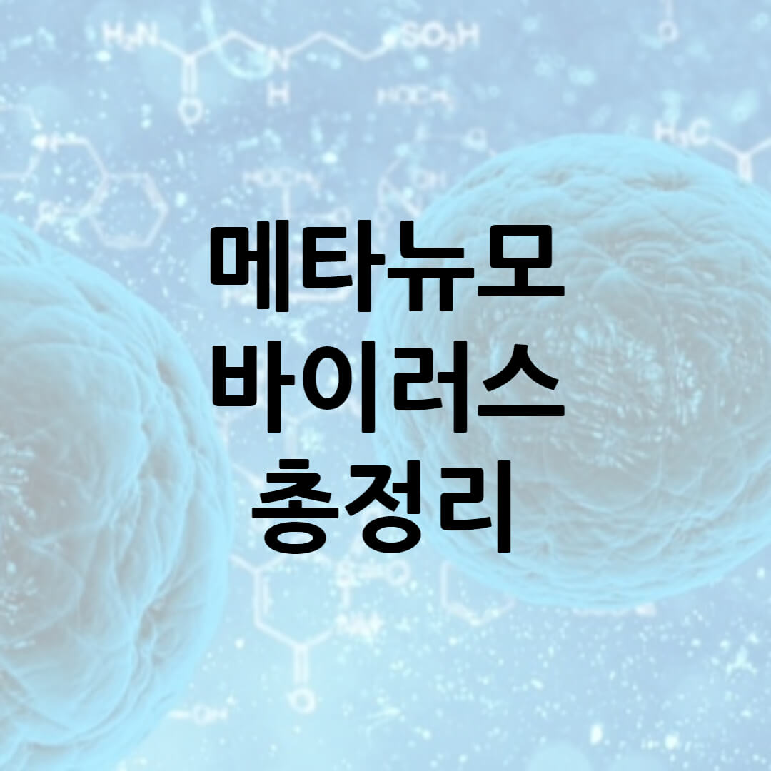  겨울철 유행 질병 메타 뉴모 바이러스 증상 잠복기 예방 치료