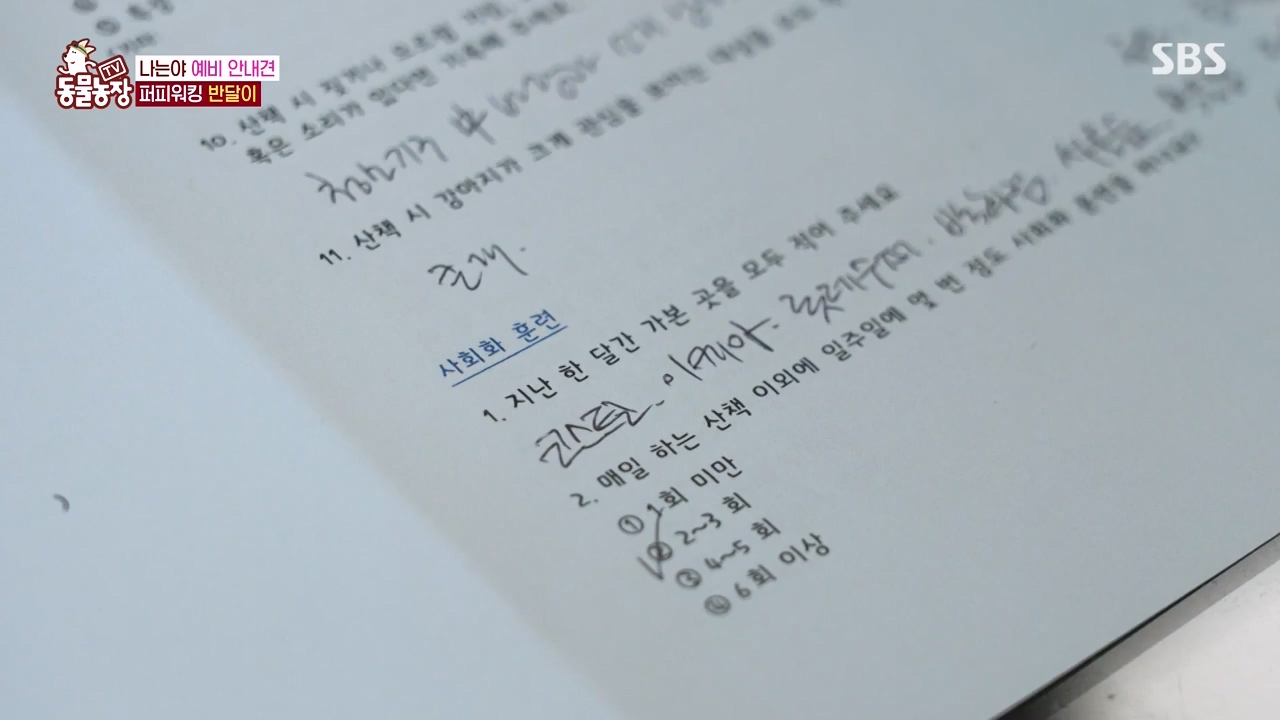 TV 동물농장.E1122.230529p-NEXT.mp4_20230528_170255.659.jpg