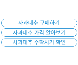 사과대추 수확시기&#44; 사과대추 구매하기
