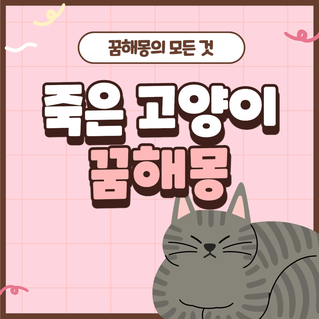 죽은 고양이 꿈해몽