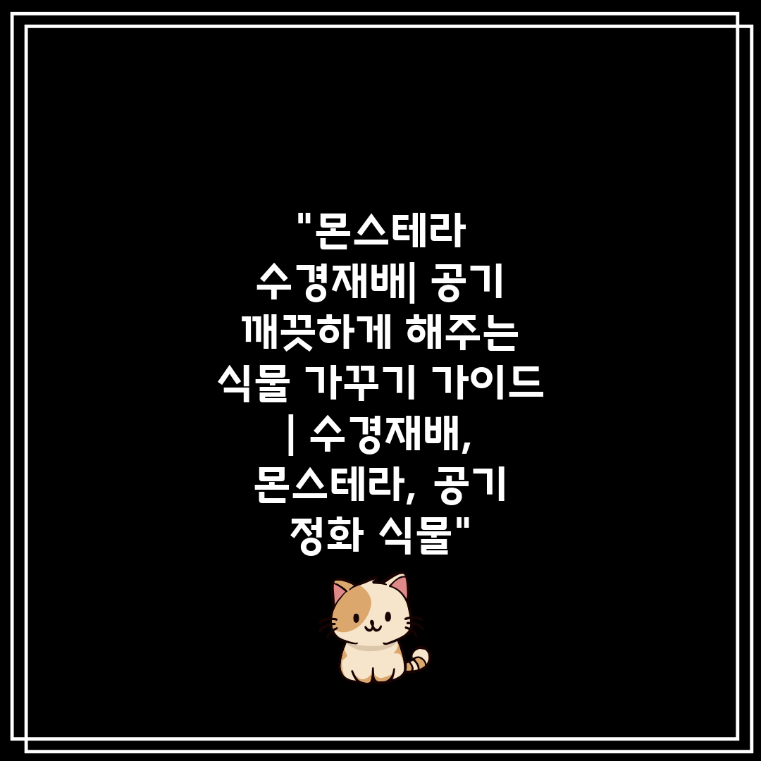 몬스테라 수경재배 공기 깨끗하게 해주는 식물 가꾸기 가