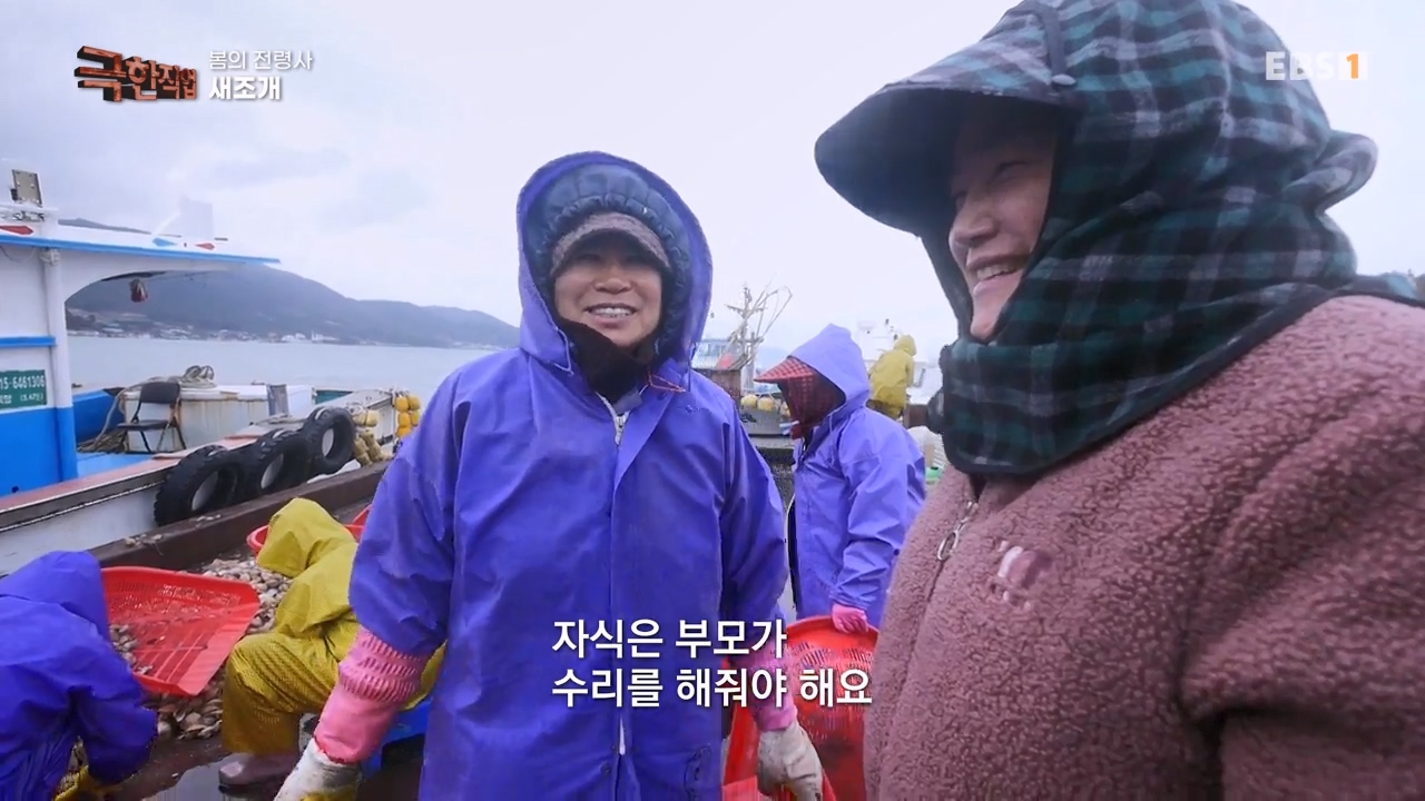 TV - 전 국민의 평생학교 EBS봄의 전령사! 새조개, 미나리, 주꾸미.mp4_20240316_165736.291.jpg