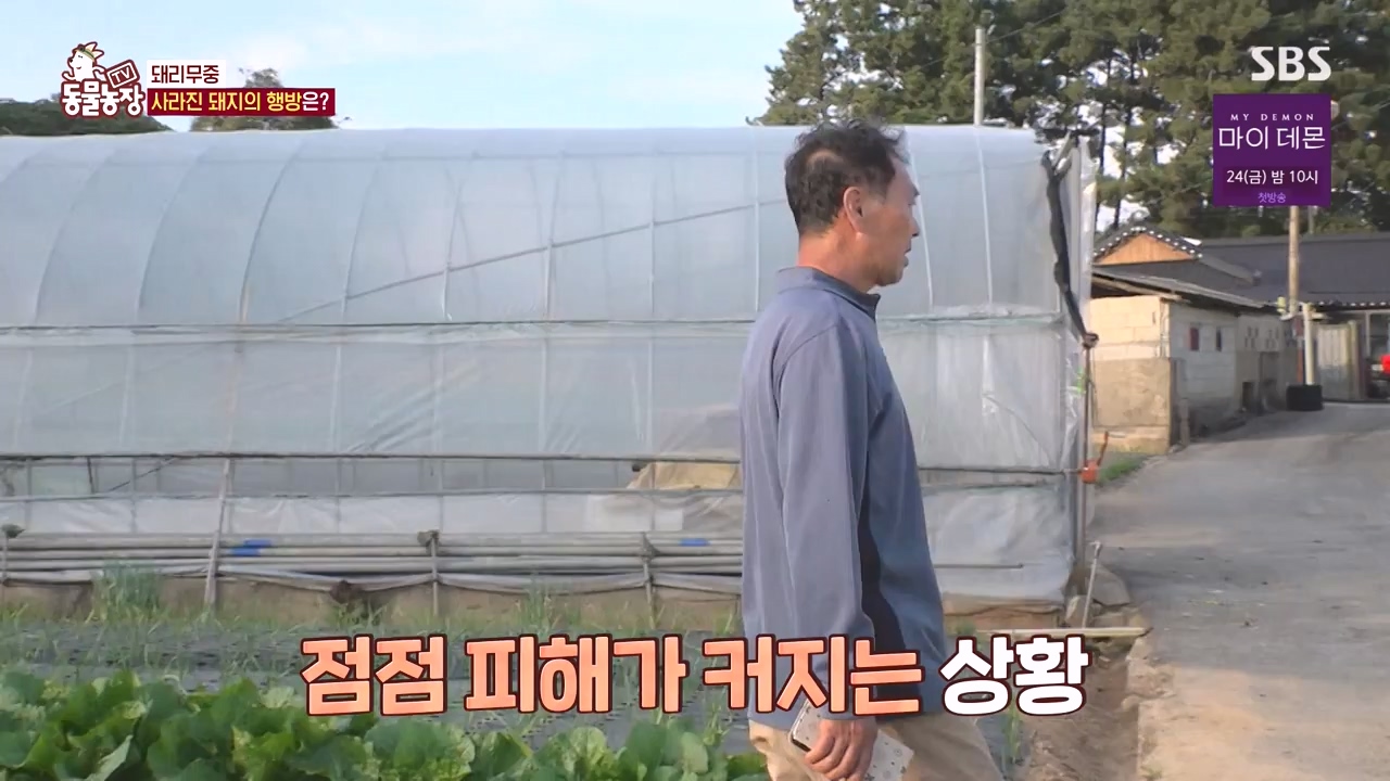 TV 동물농장.E1144.231106p-NEXT.mp4_20231105_175946.674.jpg