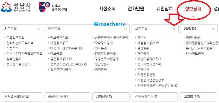 성남시청-홈페이지-정보공개-메뉴들