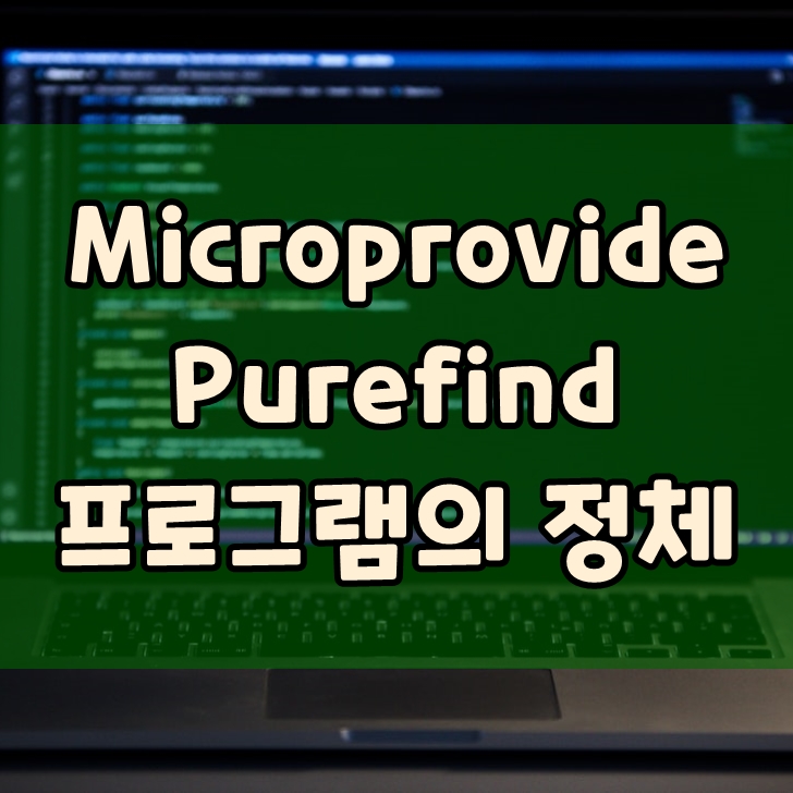 Microprovide Purefind Service 프로그램의 정체와 삭제방법