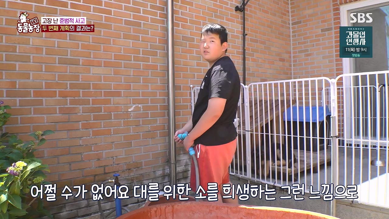 TV 동물농장.E1179.240708p-NEXT.mp4_20240707_160426.925.jpg